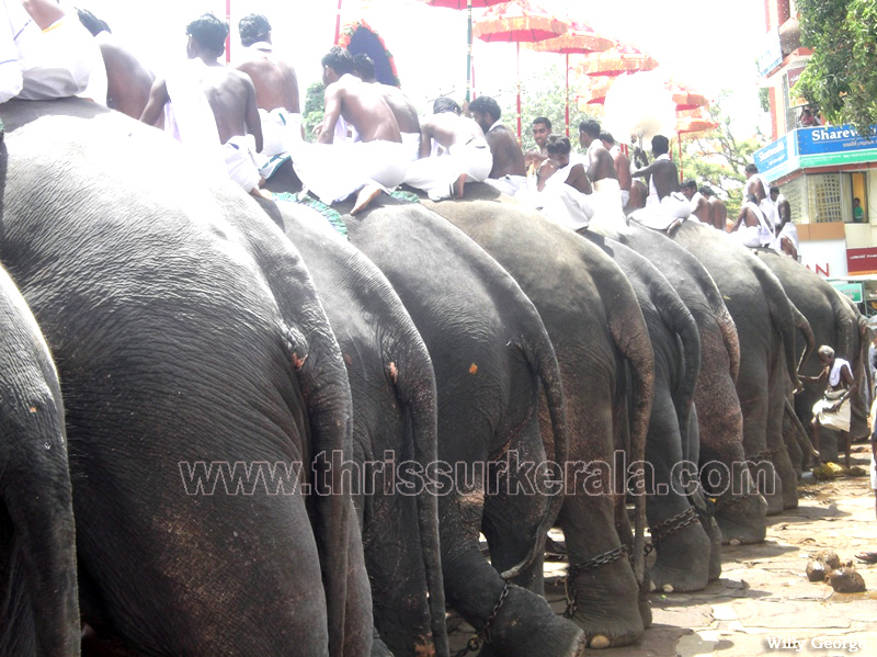 thrissur-pooram-2011- (25)